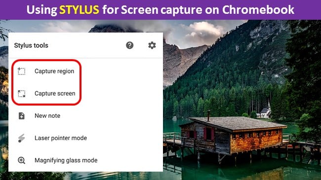 Using STYLUS for Screen capture on Chromebook